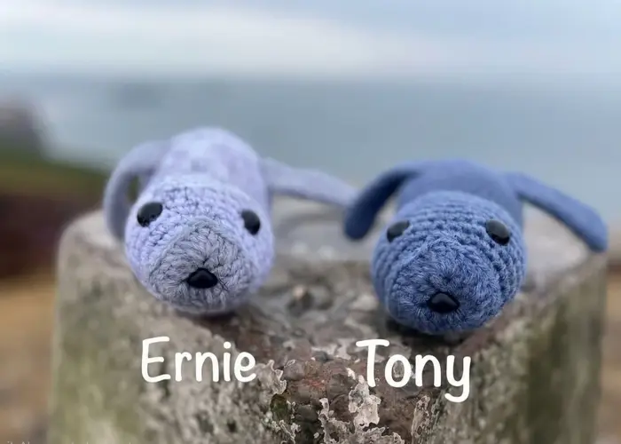 The two knitted seals, named Ernie and Tony, resting on a stone bollard overlooking Rhosili Bay