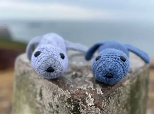Two hand-knitted seal toys, one pale grey and one blue, resting on a stone bollard overlooking Rhosili Bay