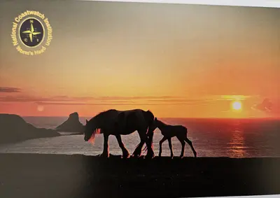 Postcard: Gower ponies silhouetted against the sunset