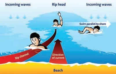 Diagram of a rip current: waves break either side of a calmer channel of water pulling straight out to sea; escape by swimming parallel to the shore rather than against the current