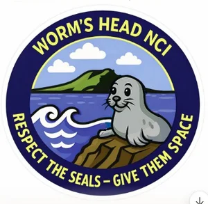Cartoon seal on rocks: Respect the seals, give them space