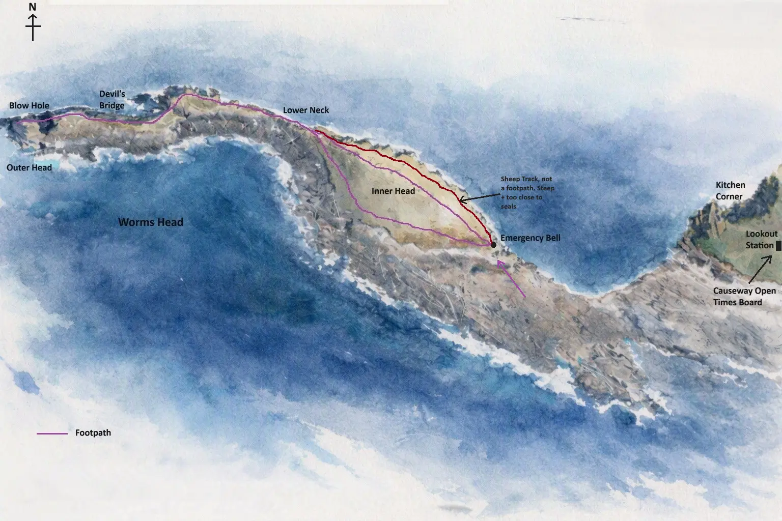 Illustrated map of Worms Head showing the footpath from the causeway over Inner Head, Lower Neck, Devil's Bridge and Outer Head to the Blow Hole, with the sheep track above the Emergency Bell marked as not a footpath