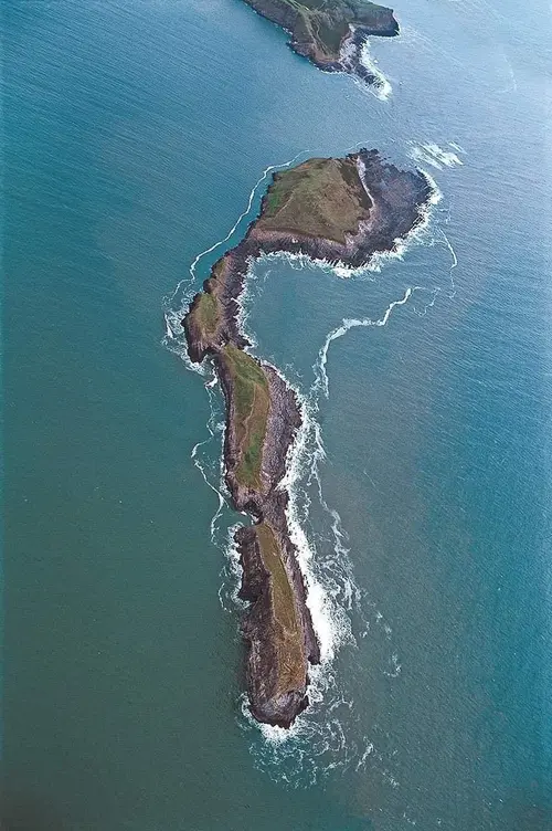 Looking straight down on Worms Head from the air, its long, twisting rocky body surrounded by sea